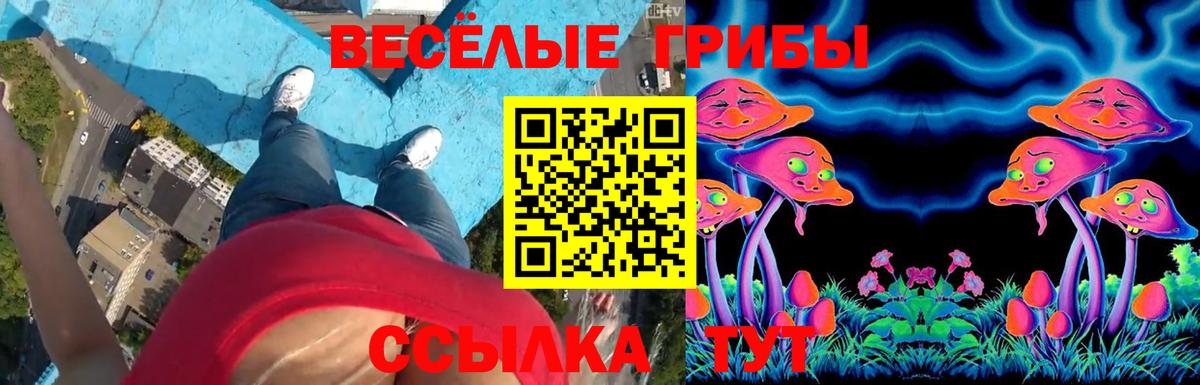 Псилоцибиновые грибы Magic Shrooms  Псилоцибиновые грибы мицелий  Вход с VPN  Бирск 